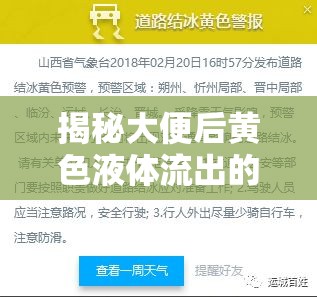 揭秘大便后黃色液體流出的真相，健康警報與應(yīng)對策略
