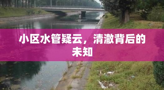 小區(qū)水管疑云，清澈背后的未知