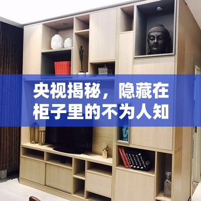 央視揭秘，隱藏在柜子里的不為人知的秘密