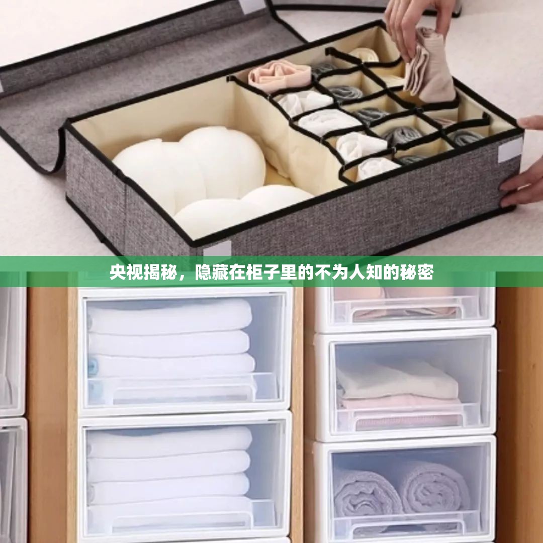央視揭秘，隱藏在柜子里的不為人知的秘密