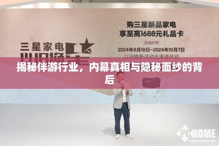 揭秘伴游行業(yè)，內(nèi)幕真相與隱秘面紗的背后