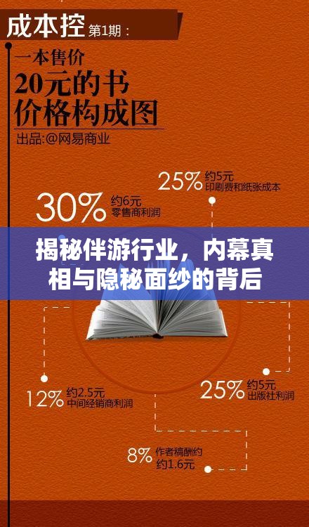 揭秘伴游行業(yè)，內(nèi)幕真相與隱秘面紗的背后