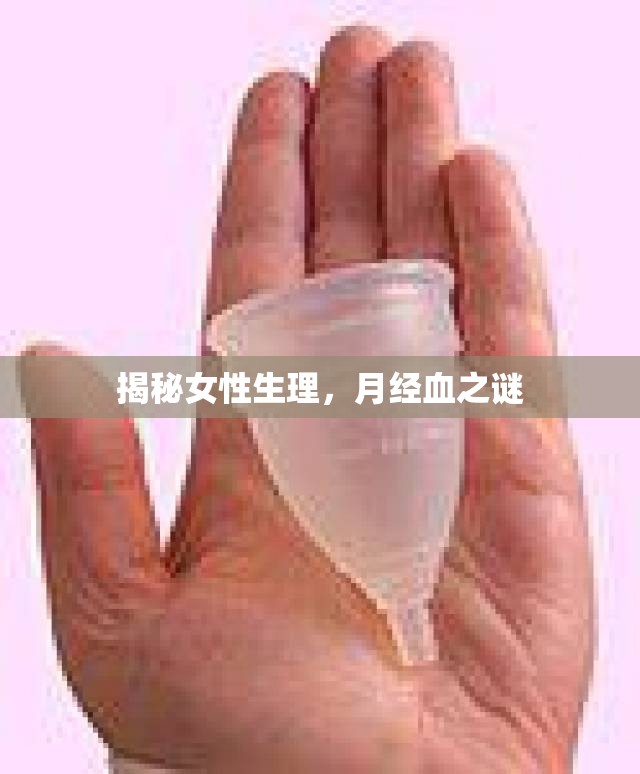 揭秘女性生理，月經(jīng)血之謎