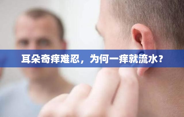 耳朵奇癢難忍，為何一癢就流水？