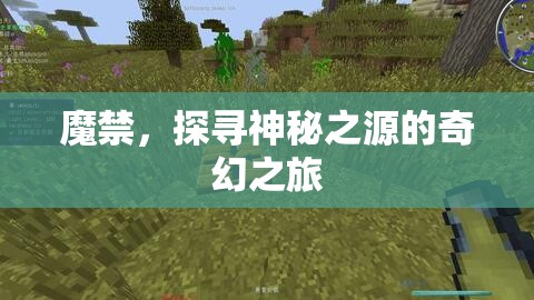 魔禁，探尋神秘之源的奇幻之旅