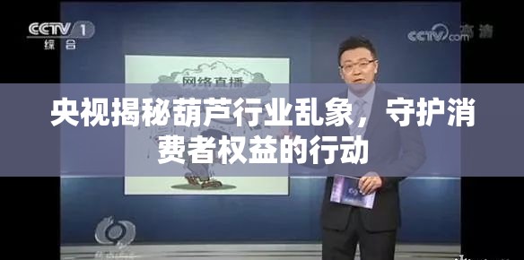 央視揭秘葫蘆行業(yè)亂象，守護(hù)消費(fèi)者權(quán)益的行動