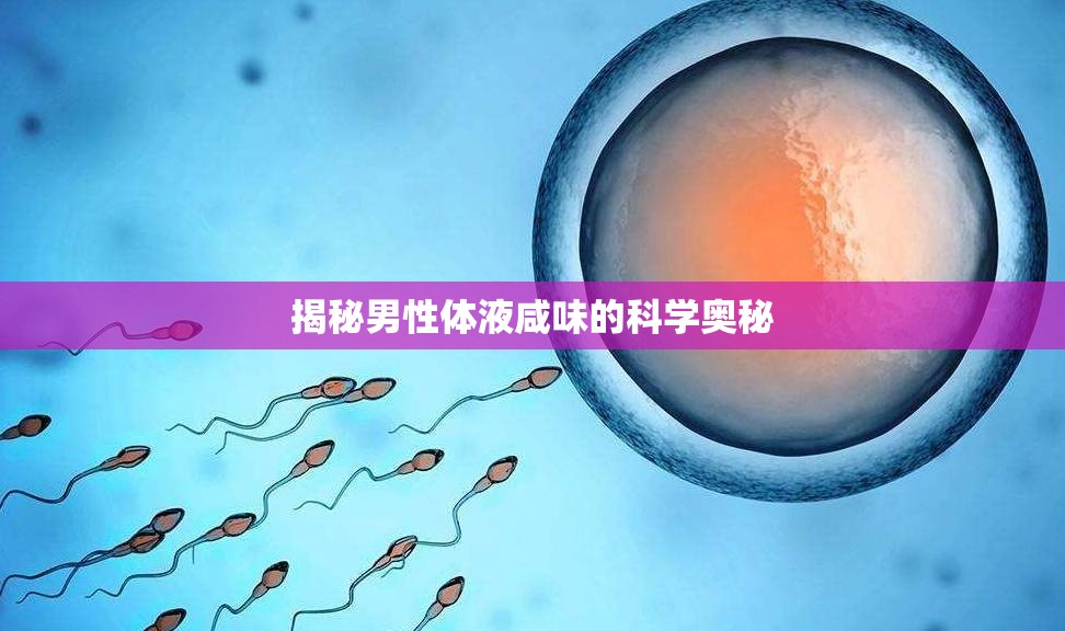揭秘男性體液咸味的科學(xué)奧秘