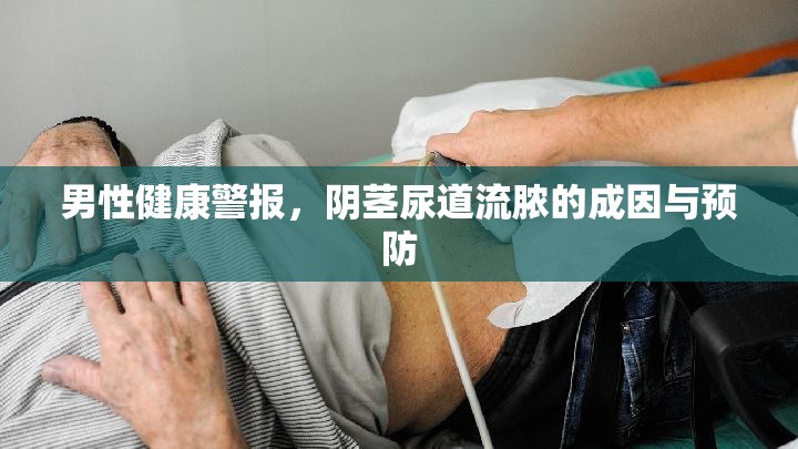 男性健康警報(bào)，陰莖尿道流膿的成因與預(yù)防