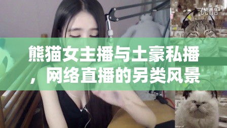 熊貓女主播與土豪私播，網(wǎng)絡(luò)直播的另類風(fēng)景線