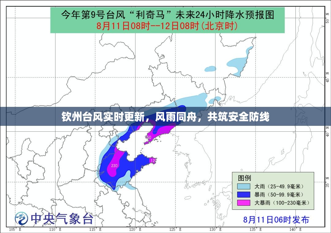 欽州臺風(fēng)實(shí)時(shí)更新，風(fēng)雨同舟，共筑安全防線