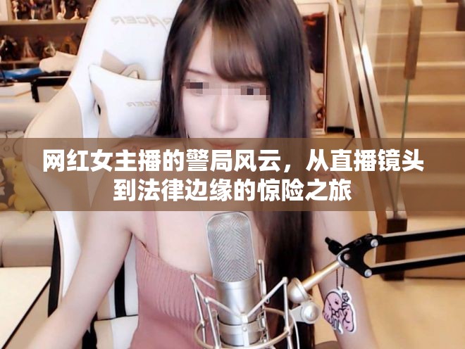 網(wǎng)紅女主播的警局風(fēng)云，從直播鏡頭到法律邊緣的驚險(xiǎn)之旅