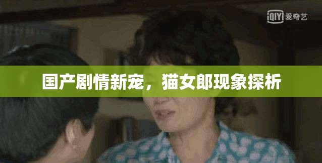國(guó)產(chǎn)劇情新寵，貓女郎現(xiàn)象探析