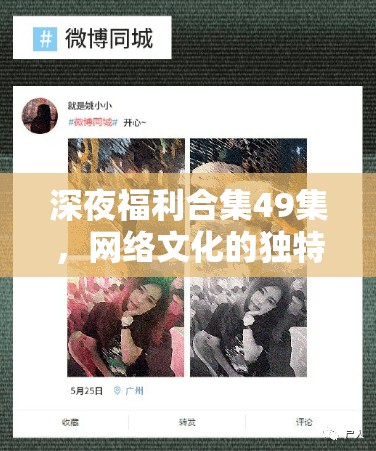 深夜福利合集49集，網(wǎng)絡(luò)文化的獨(dú)特魅力與影響探討