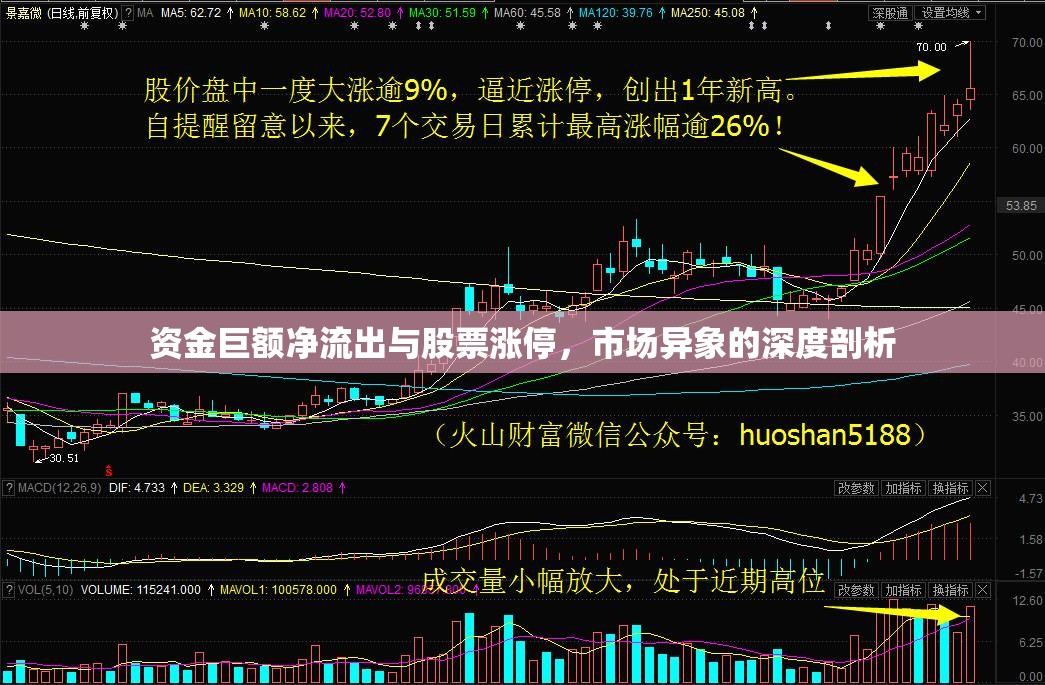 資金巨額凈流出與股票漲停，市場(chǎng)異象的深度剖析