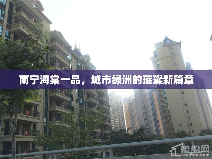 南寧海棠一品，城市綠洲的璀璨新篇章
