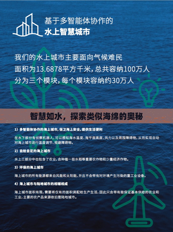 智慧如水，探索類似海綿的奧秘