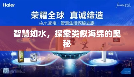 智慧如水，探索類似海綿的奧秘
