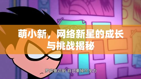 萌小新，網(wǎng)絡(luò)新星的成長(zhǎng)與挑戰(zhàn)揭秘