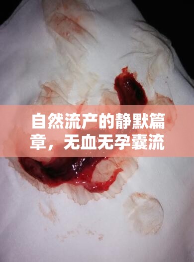自然流產(chǎn)的靜默篇章，無(wú)血無(wú)孕囊流出的奧秘探索