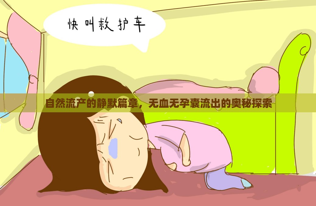 自然流產(chǎn)的靜默篇章，無(wú)血無(wú)孕囊流出的奧秘探索