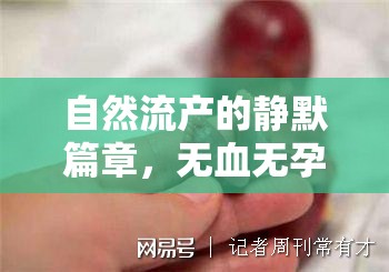 自然流產(chǎn)的靜默篇章，無(wú)血無(wú)孕囊流出的奧秘探索