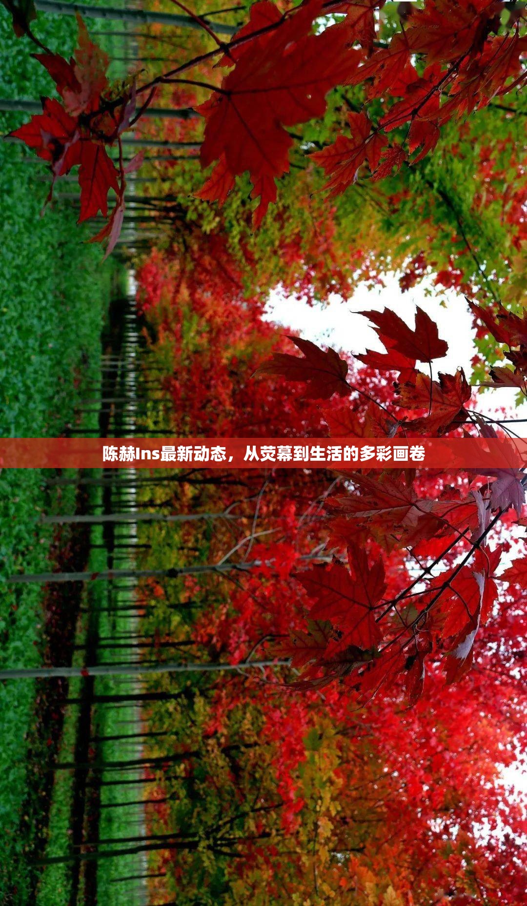 陳赫Ins最新動(dòng)態(tài)，從熒幕到生活的多彩畫(huà)卷