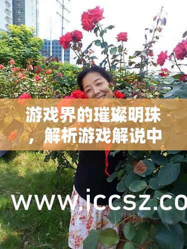 游戲界的璀璨明珠，解析游戲解說中的美女主播現(xiàn)象