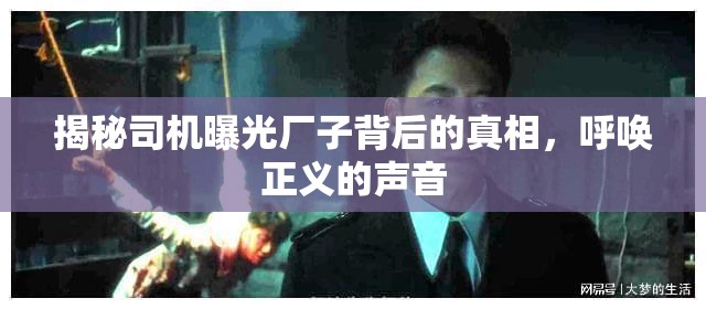 揭秘司機(jī)曝光廠子背后的真相，呼喚正義的聲音