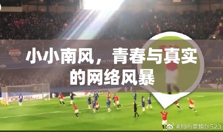 小小南風(fēng)，青春與真實(shí)的網(wǎng)絡(luò)風(fēng)暴