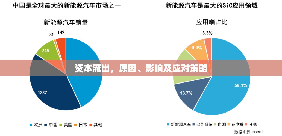 資本流出，原因、影響及應對策略