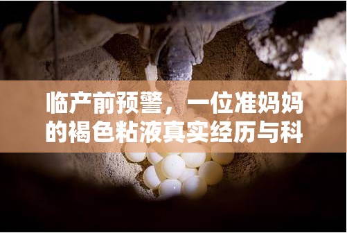 臨產(chǎn)前預(yù)警，一位準(zhǔn)媽媽的褐色粘液真實(shí)經(jīng)歷與科普解析