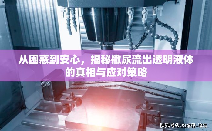 從困惑到安心，揭秘撒尿流出透明液體的真相與應(yīng)對(duì)策略