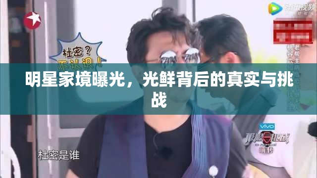 明星家境曝光，光鮮背后的真實與挑戰(zhàn)