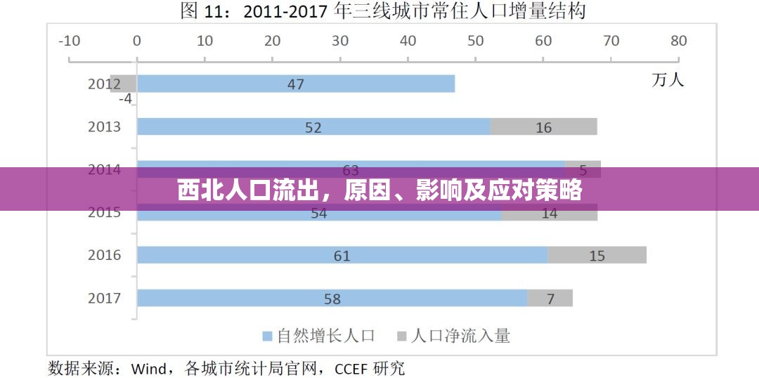 西北人口流出，原因、影響及應(yīng)對(duì)策略
