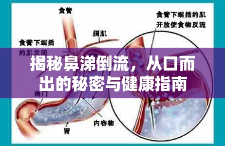 揭秘鼻涕倒流，從口而出的秘密與健康指南