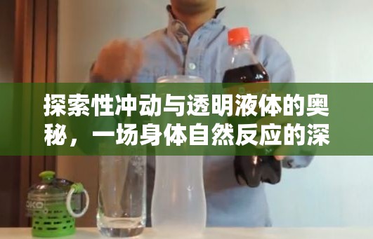 探索性沖動與透明液體的奧秘，一場身體自然反應(yīng)的深度揭秘