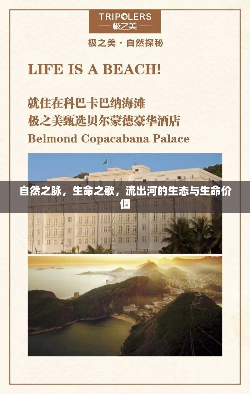 自然之脈，生命之歌，流出河的生態(tài)與生命價值