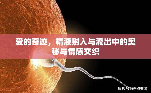 愛的奇跡，精液射入與流出中的奧秘與情感交織