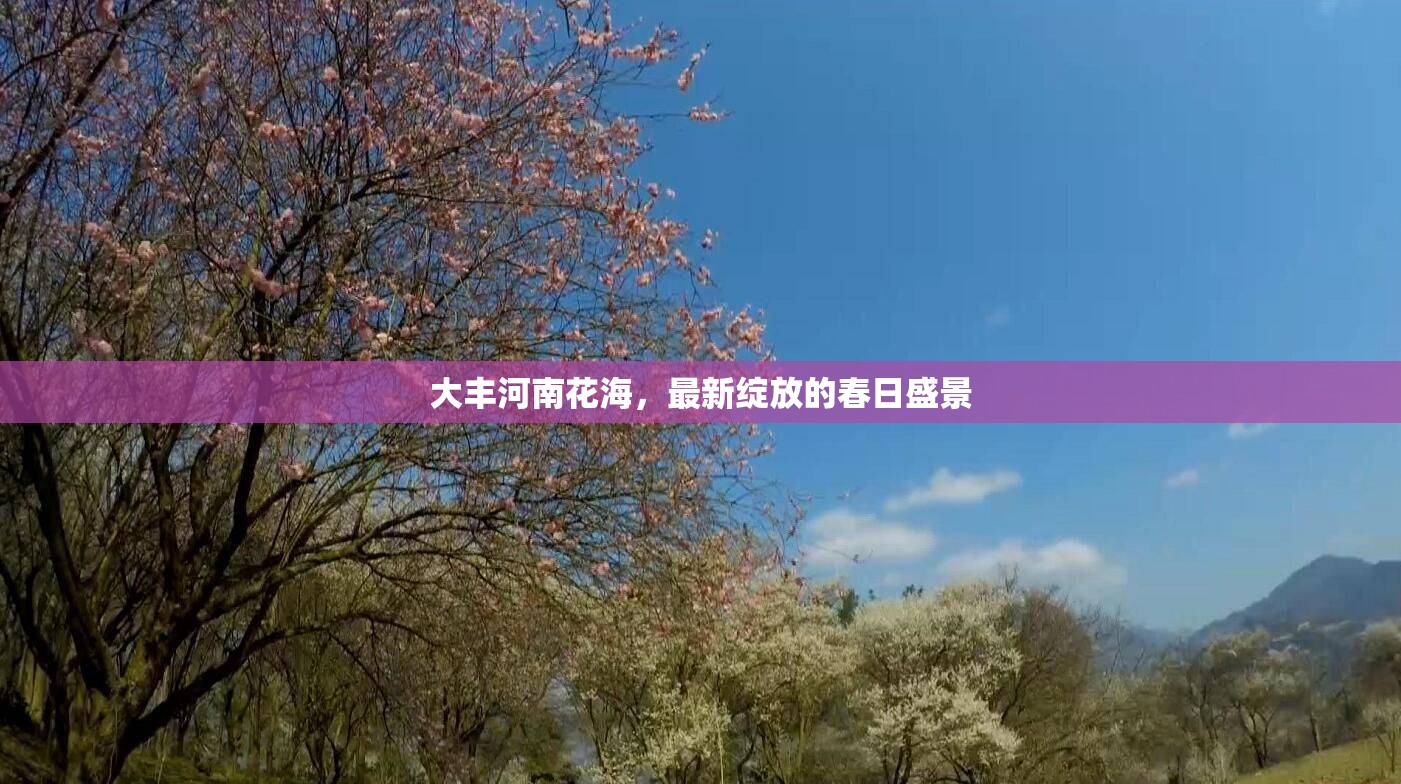 大豐河南花海，最新綻放的春日盛景