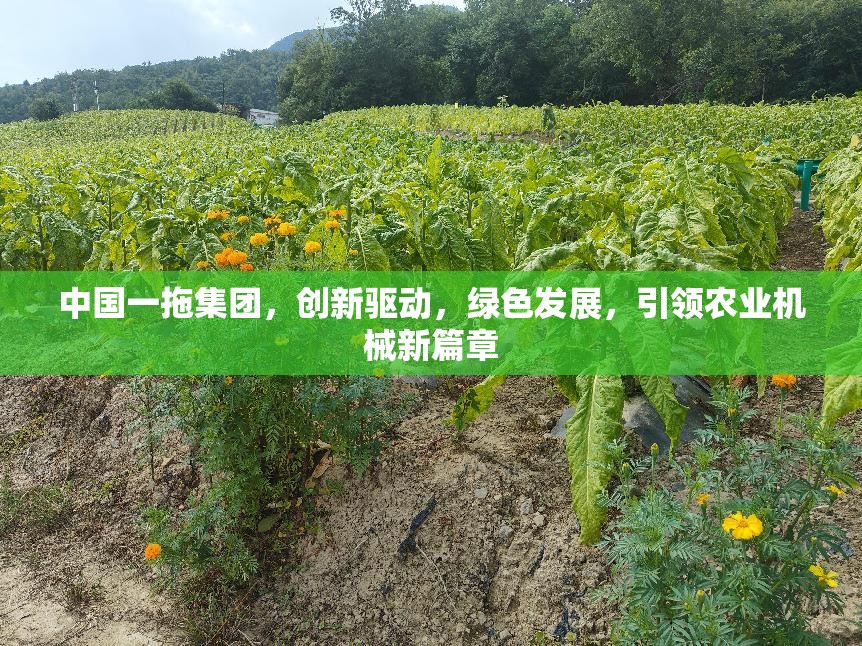 中國一拖集團(tuán)，創(chuàng)新驅(qū)動(dòng)，綠色發(fā)展，引領(lǐng)農(nóng)業(yè)機(jī)械新篇章