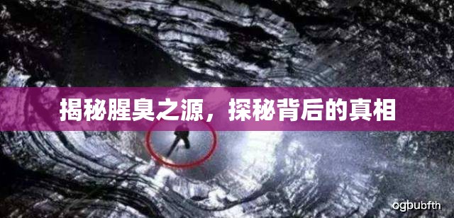 揭秘腥臭之源，探秘背后的真相
