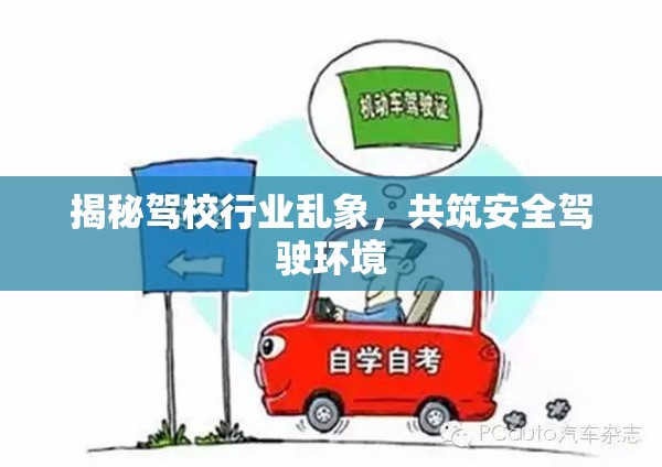 揭秘駕校行業(yè)亂象，共筑安全駕駛環(huán)境