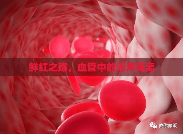 鮮紅之殤，血管中的無(wú)聲流離