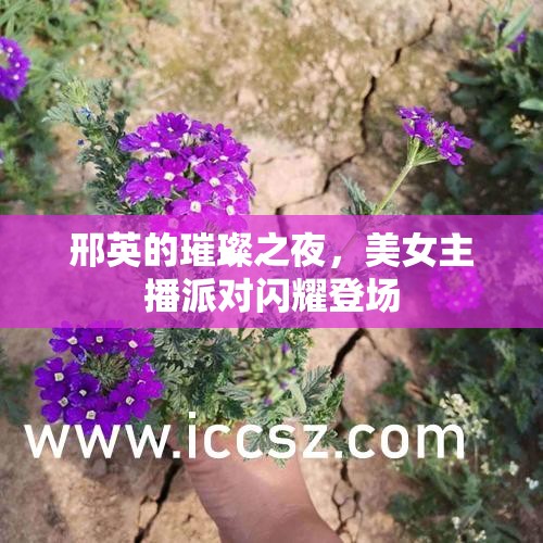 邢英的璀璨之夜，美女主播派對(duì)閃耀登場(chǎng)