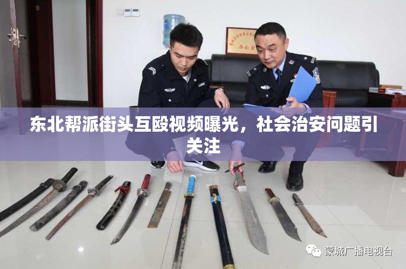 東北幫派街頭互毆視頻曝光，社會治安問題引關注