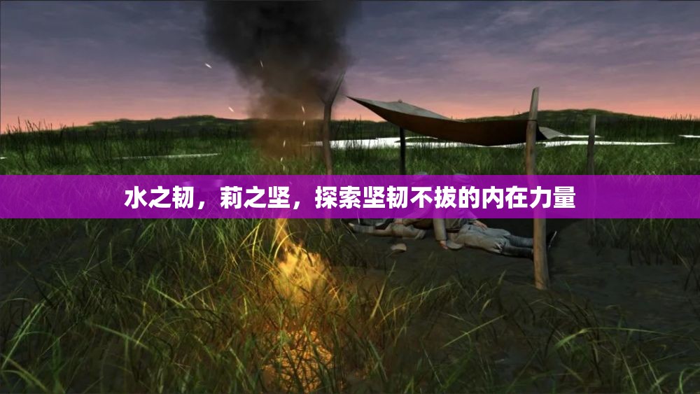 水之韌，莉之堅，探索堅韌不拔的內(nèi)在力量