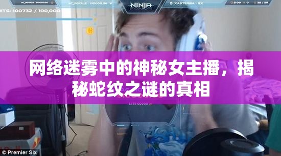 網(wǎng)絡(luò)迷霧中的神秘女主播，揭秘蛇紋之謎的真相
