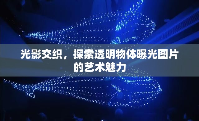 光影交織，探索透明物體曝光圖片的藝術(shù)魅力