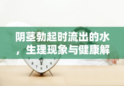 陰莖勃起時流出的水，生理現(xiàn)象與健康解讀