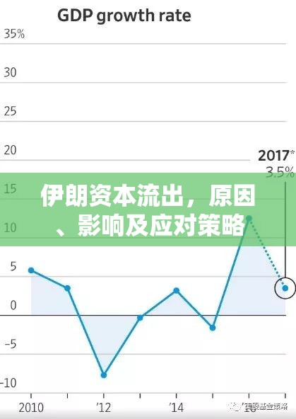 伊朗資本流出，原因、影響及應(yīng)對(duì)策略